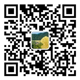 网信彩票首页大厅